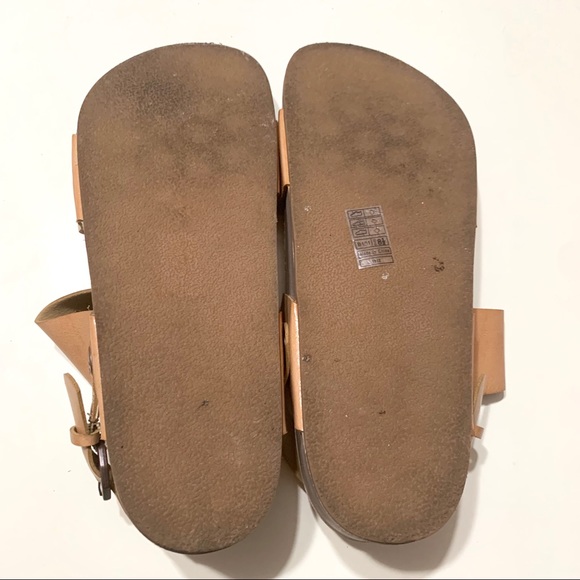 🐡 Blowfish 🐡 - Picture 6 of 7